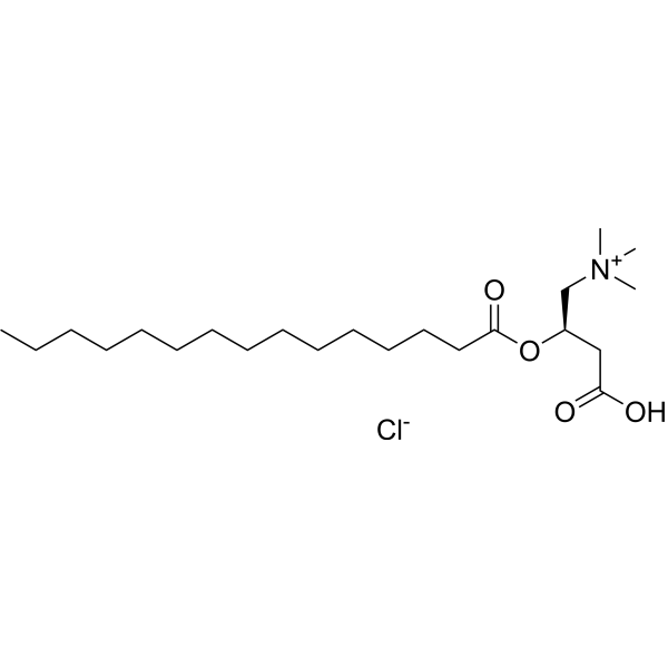 Pentadecanoyl-L-carnitine chloride 173686-57-2